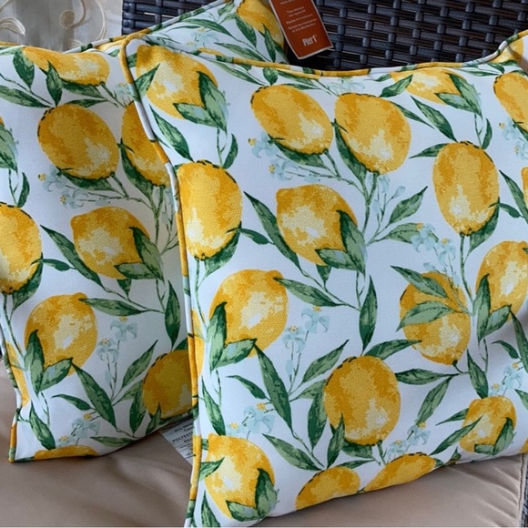 Pier 1 Other - Lemon Pillows Pier 1
